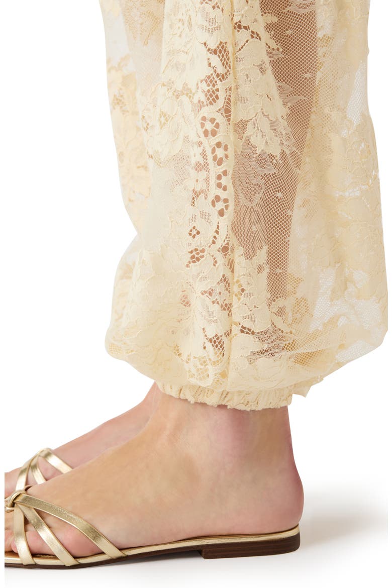 Faya Floral Lace Pants, Alternate, color, TROPIC SANDS
