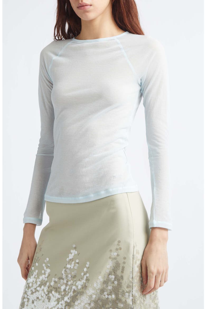 Hiro Raglan Sleeve Top, Alternate, color, BLUE