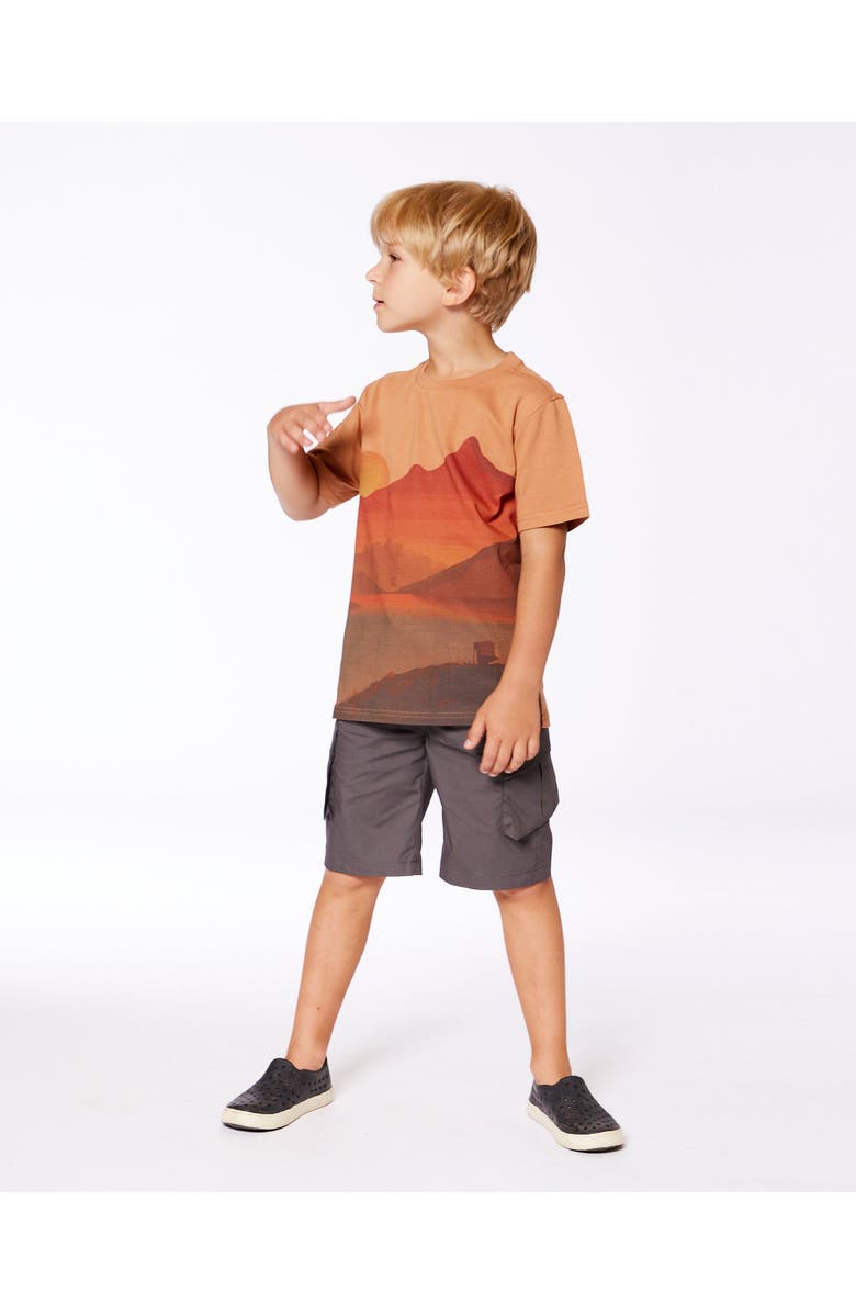 Deux par Deux Boy's Parachute Cargo Pocket Shorts Dark Gray, Alternate, color, 