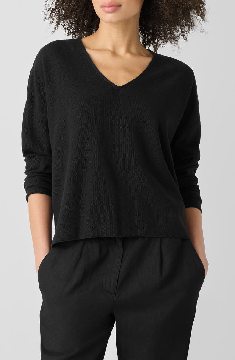 Eileen Fisher Organic Linen & Organic Cotton V-Neck Sweater, Main, color, Black