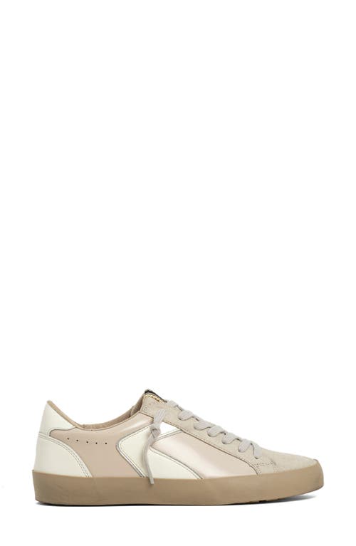 Shushop Robbie Lace-up Sneaker In Brown