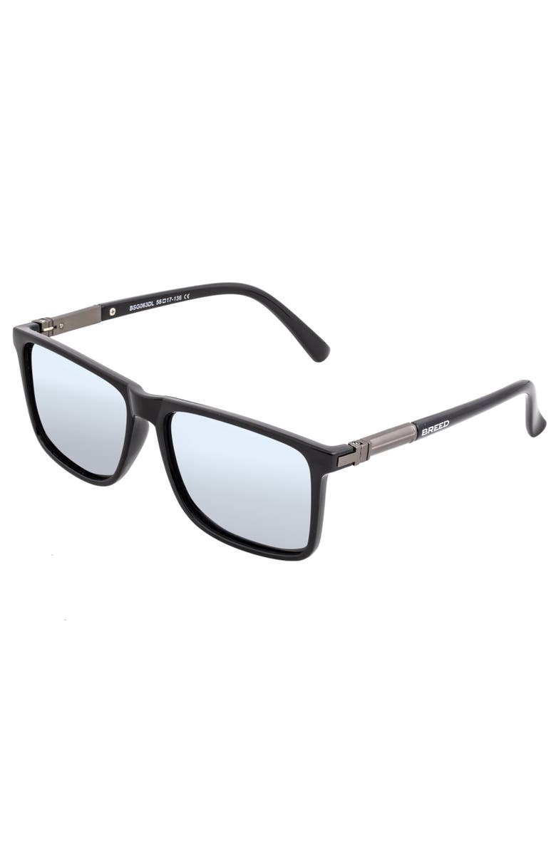 BREED Caelum Polarized Sunglasses, Main, color, Black/Silver