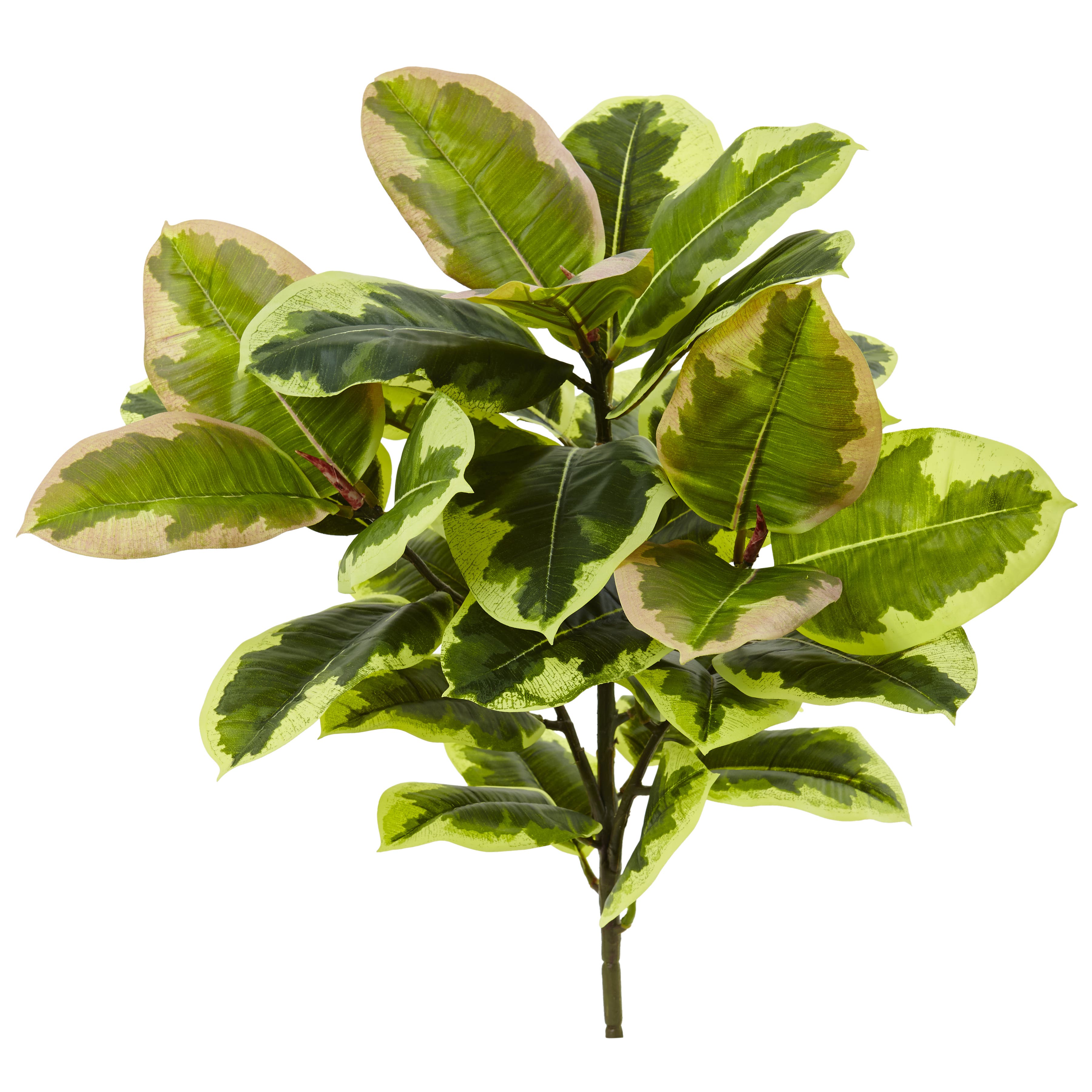 selected Green