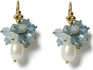 Chan Luu Firework Aquamarine Cluster Drop Earrings