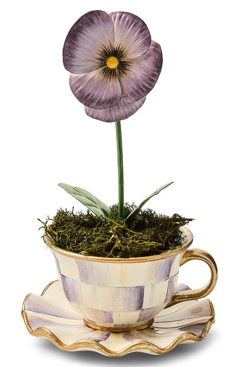 Violet Teacup Pansy