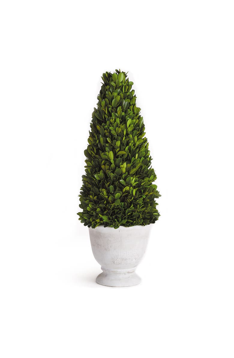 Napa Home & Garden Boxwood Cone Topiary In Pot, Main, color, 
