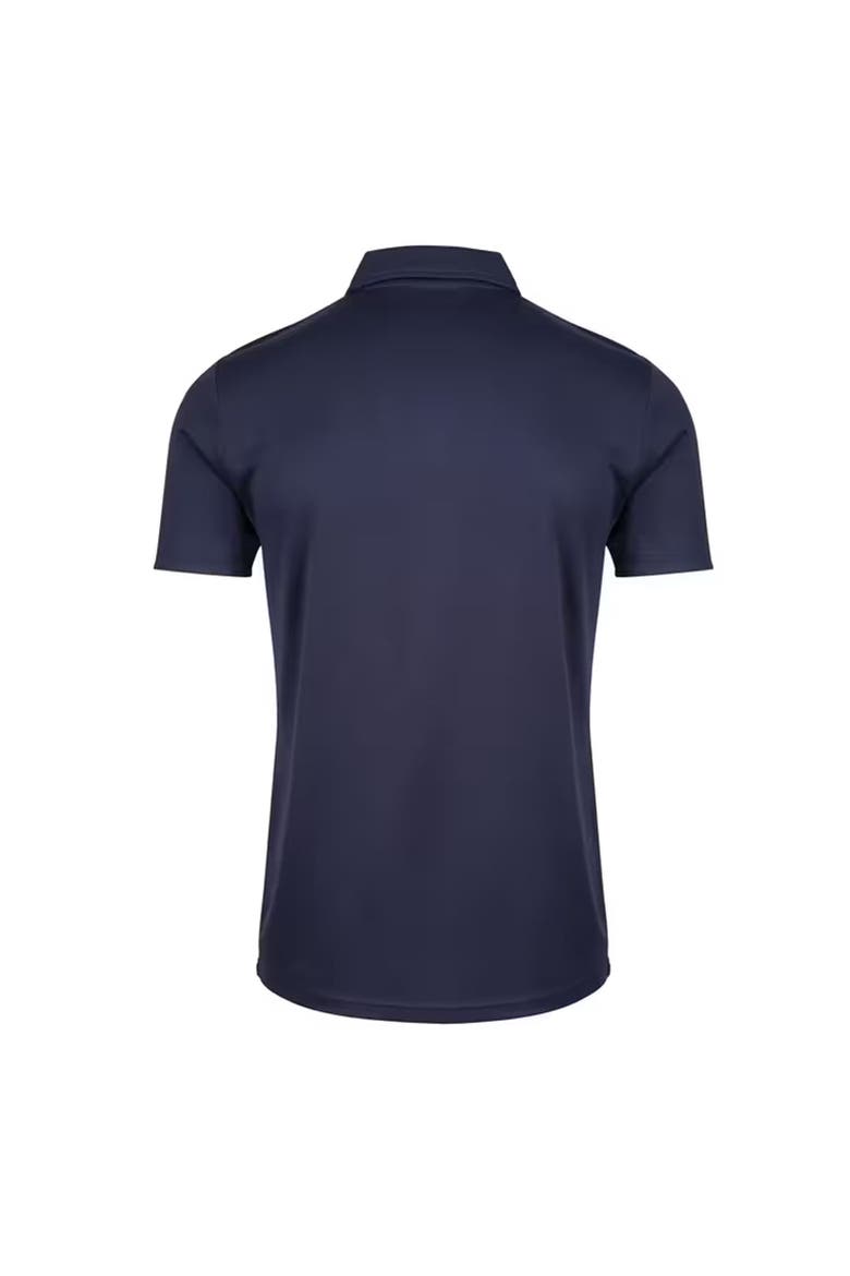 Plain Polo Shirt, Alternate, color, Navy