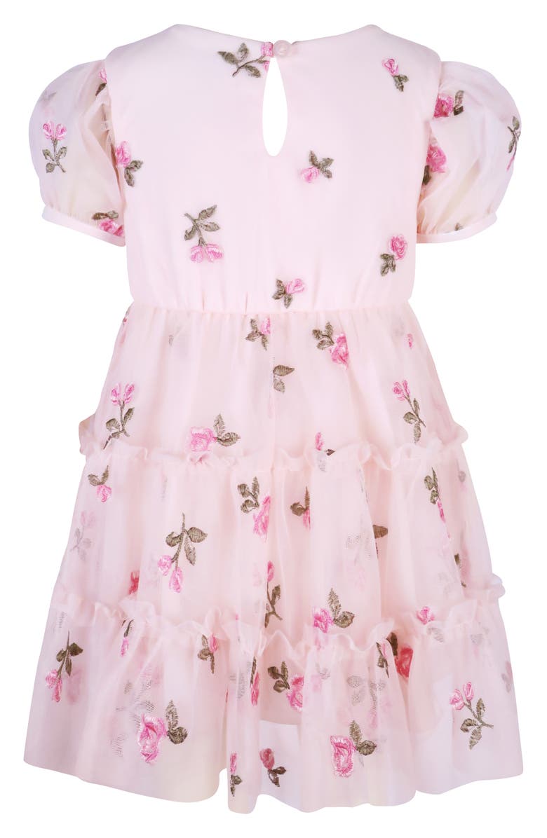 Zunie Embroidered Puff Sleeve Party Dress, Alternate, color, Blush