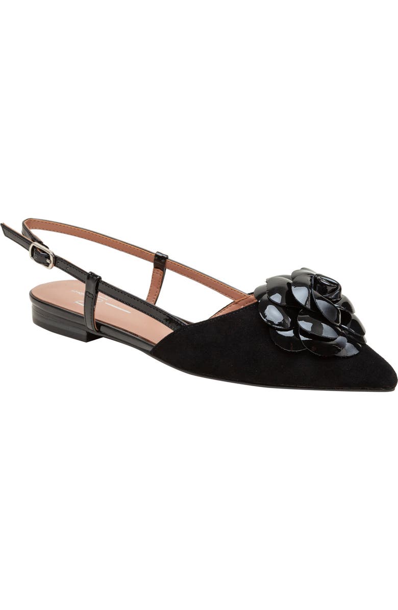 Linea Paolo Cammy Slingback Pointed Toe Flat, Main, color, Black Ii