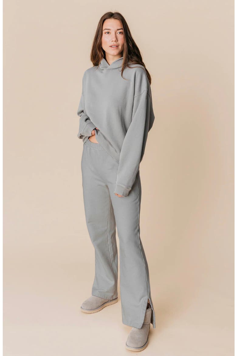 Women's Organic Cotton Teddy Oversized Hoodie, Main, color, Ash