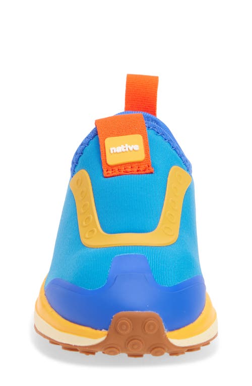 Native Shoes Robbie Dash Slip-on Sneaker In Blue