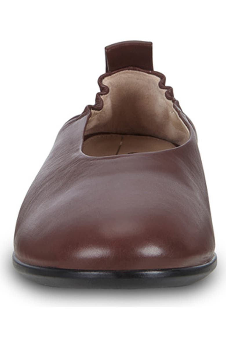 ECCO Anine Ballet Flat, Alternate, color,