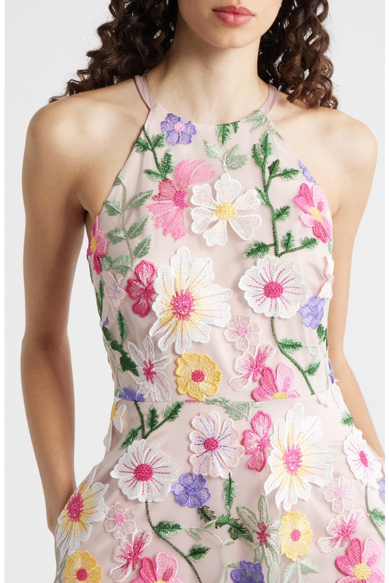 Embroidered Sleeveless Gown, Alternate, color, BLUSH MULTI