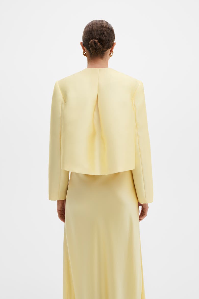 Ruthie Cropped Long Sleeve Blouse, Alternate, color, Light Lemon