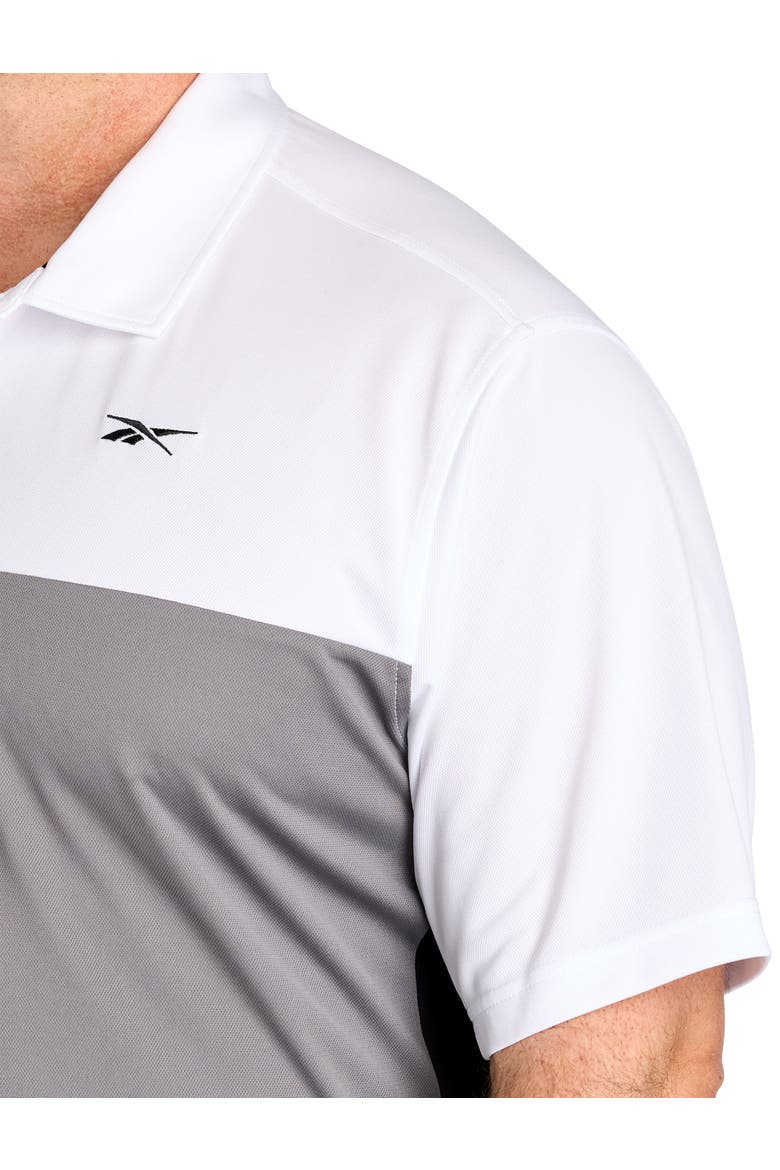 Big & Tall Colorblocked Polo Shirt V2, Alternate, color, GREY