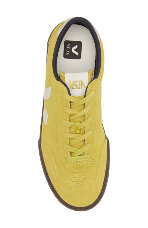 Veja Volley Sneakers In Liquor Pierre Eagle