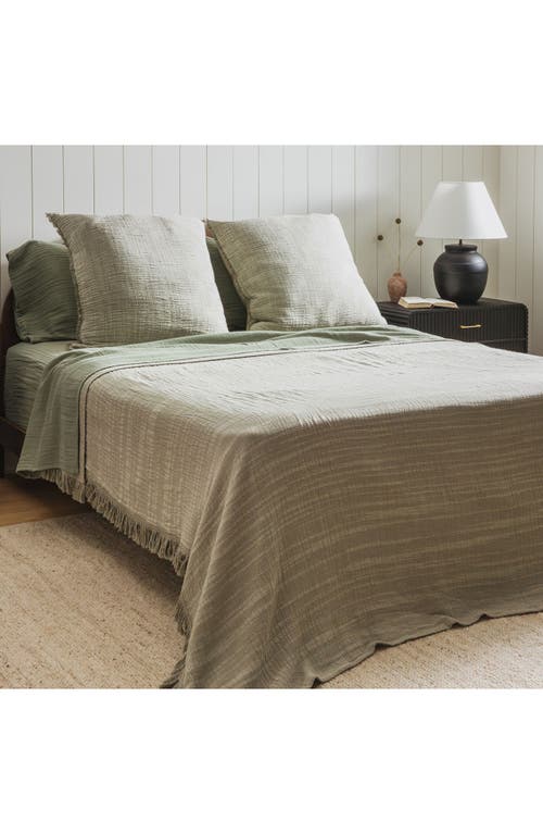 Crane Air Set Of 2 Fringe Euro Pillow Shams In Green