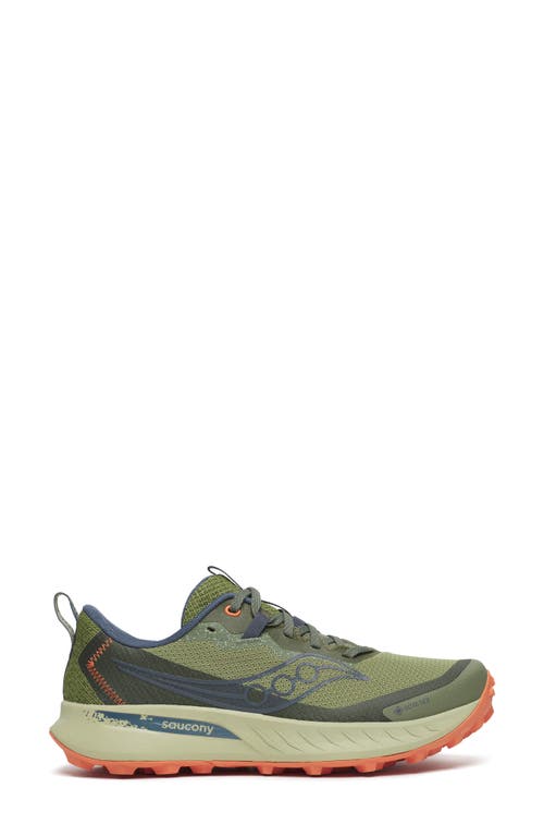 Saucony Peregrine 15 Trail Running Shoe In Multi