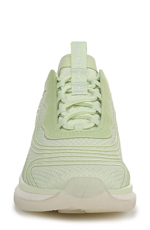 SAM EDELMAN SAM EDELMAN MILES SNEAKER