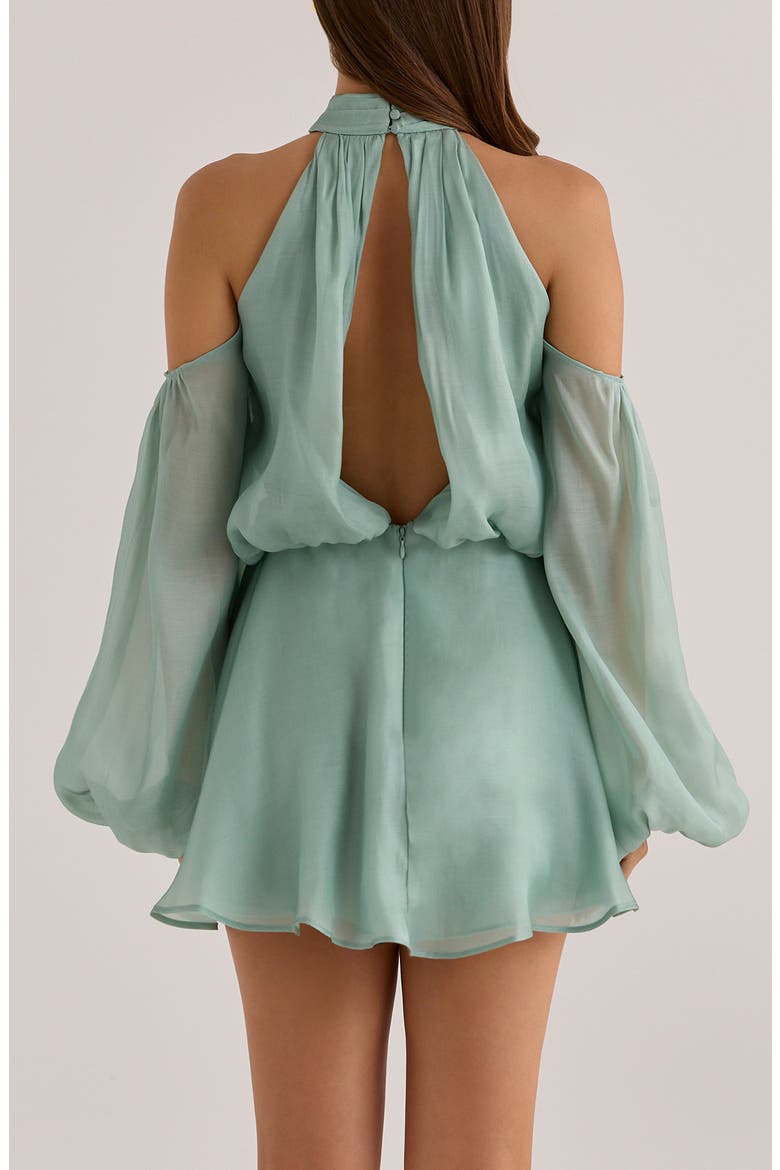 Chantelle Jade Appliqué Organza Gown, Alternate, color, JADE