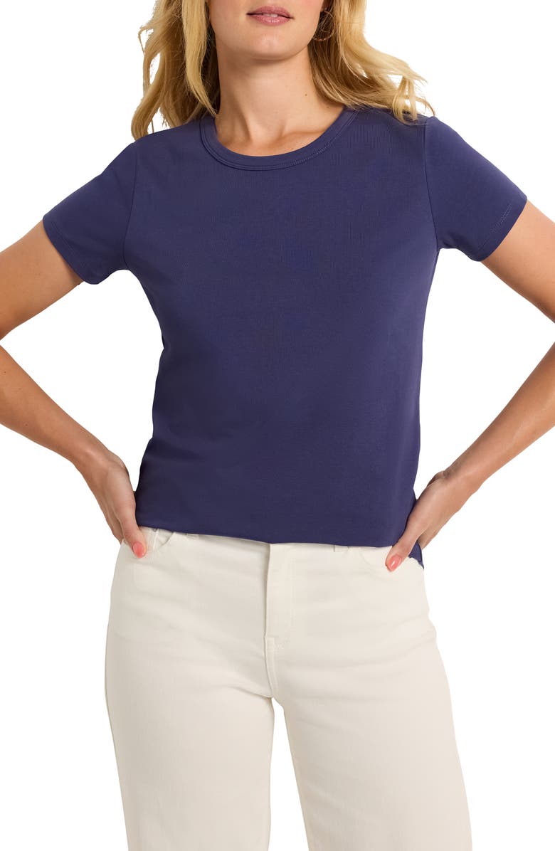 NIC+ZOE Perfect Knit Crewneck T-Shirt, Main, color, Dusk