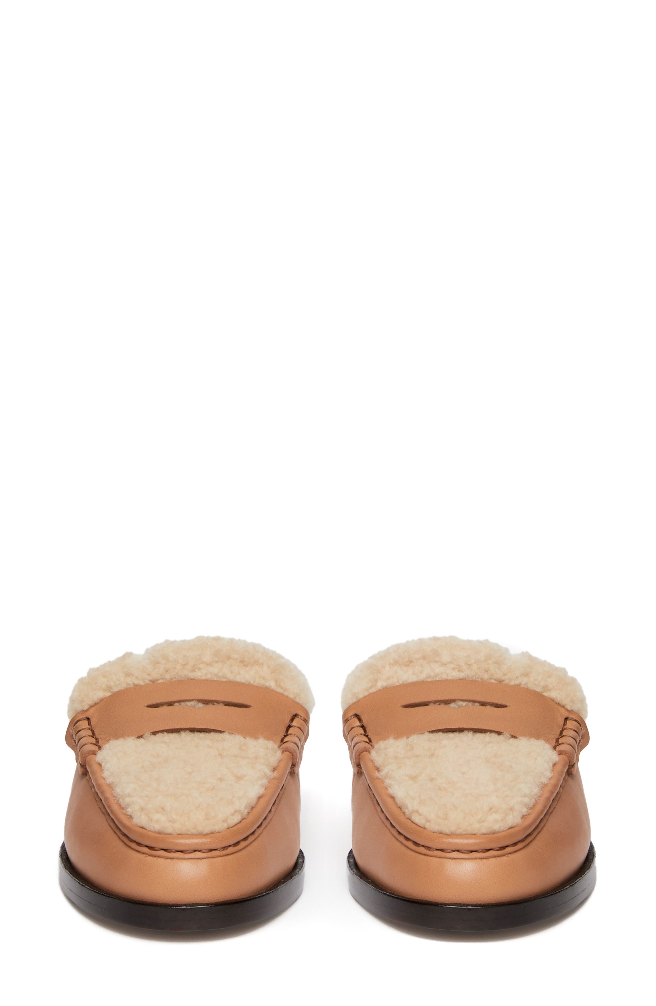 PAIGE Emmett Genuine Shearling Lined Loafer Mule, Alternate, color, 