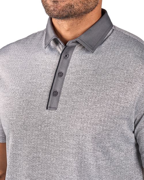 Black Clover Kingsmen Polo In Gray