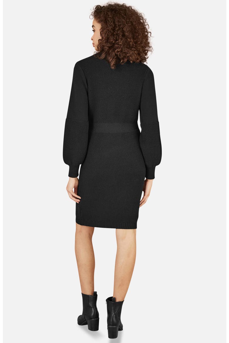 Roll Neck Knitted Dress, Alternate, color, Black