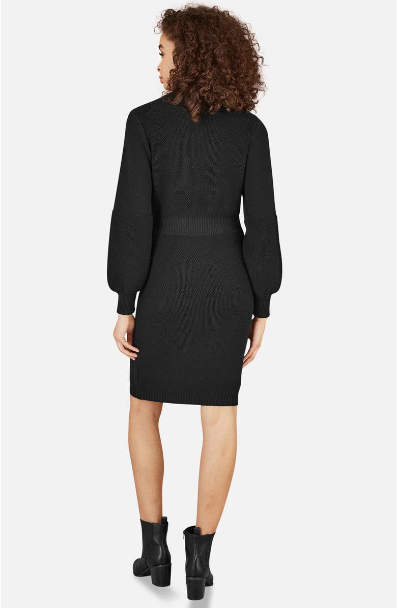 Yumi Roll Neck Knitted Dress, Alternate, color, Black