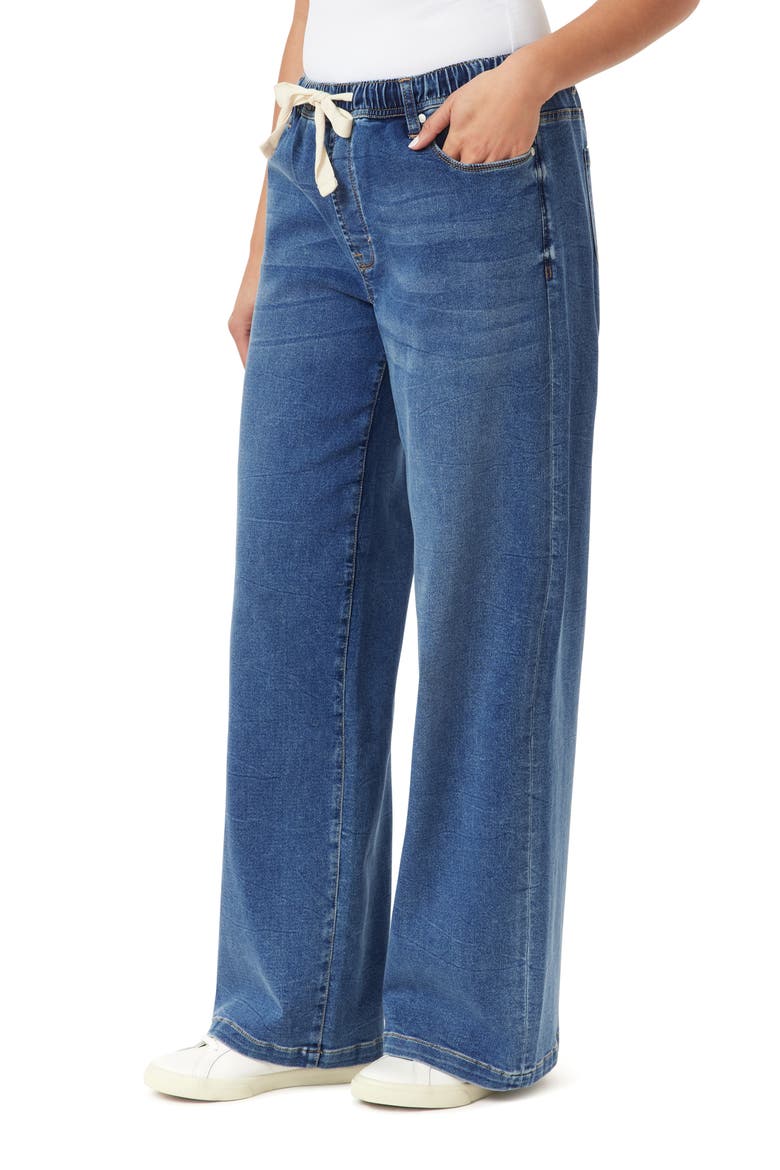 High Rise Drawstring Wide Leg Pants, Alternate, color, MELBOURNE