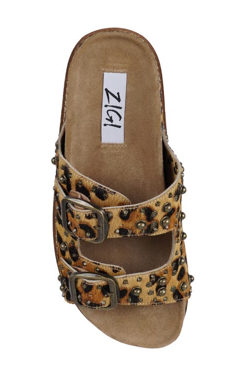 Zigi Studded Platform Sandal In Brown