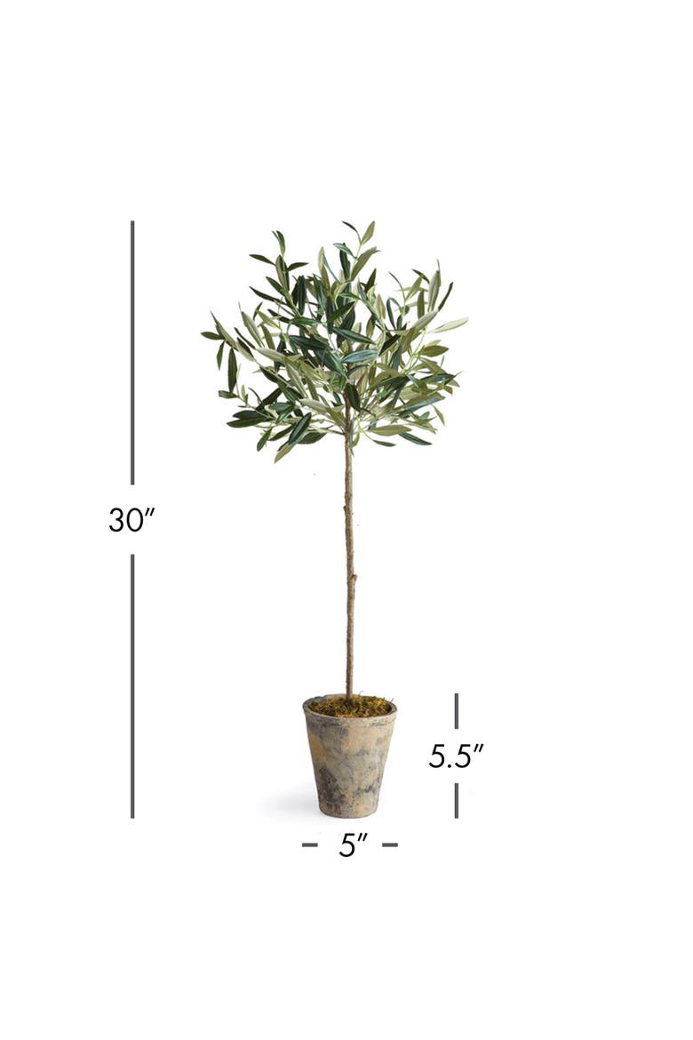 Olive Tree Potted 30", Alternate, color, Green