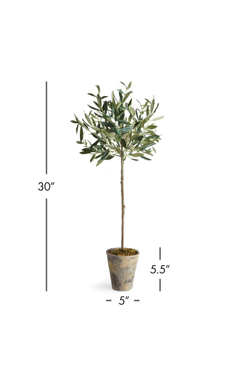 Napa Home & Garden Olive Tree Potted 30", Alternate, color, Green