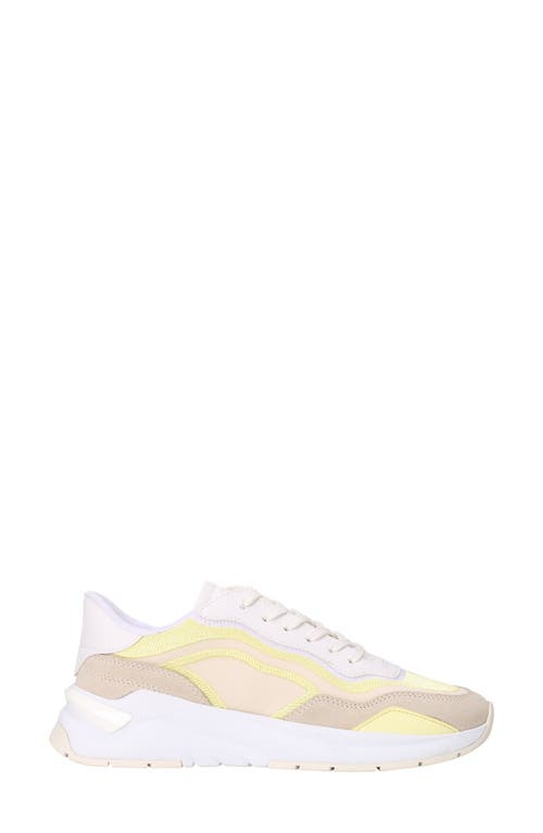 Hugo Boss Boss Skylar Runn Sneaker In Multi