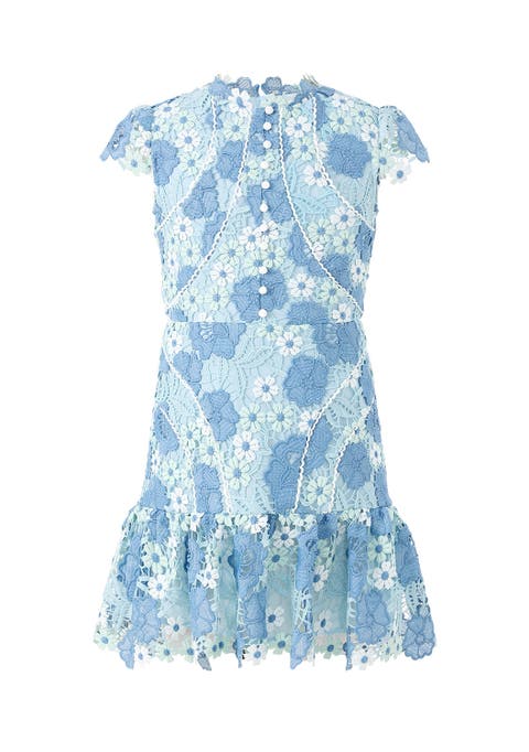 Jade Embroidered Mini Dress (Toddler, Little Kid & Big Kid)