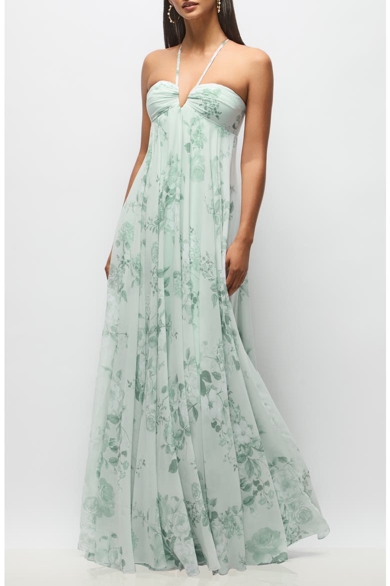 Lilith Floral Chiffon Gown, Main, color, MINT FLORAL