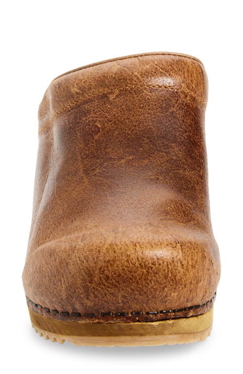 Sanita Melissa Clog In Brown