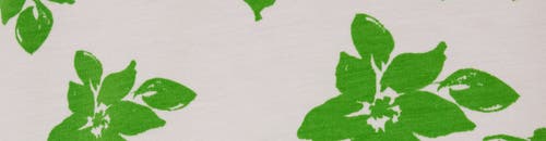 The Cat's Pajamas Pima Knit Nightgown Floral In Green