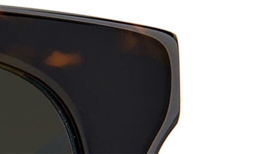 Kate Spade New York Desis 55mm Cat Eye Sunglasses In Brown