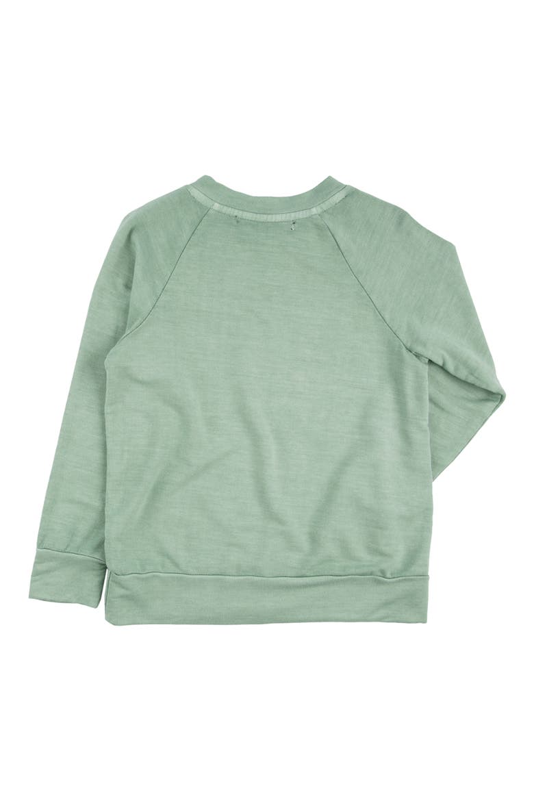 Kids' Iggy Cotton Crewneck Sweatshirt, Alternate, color, CROCODILE