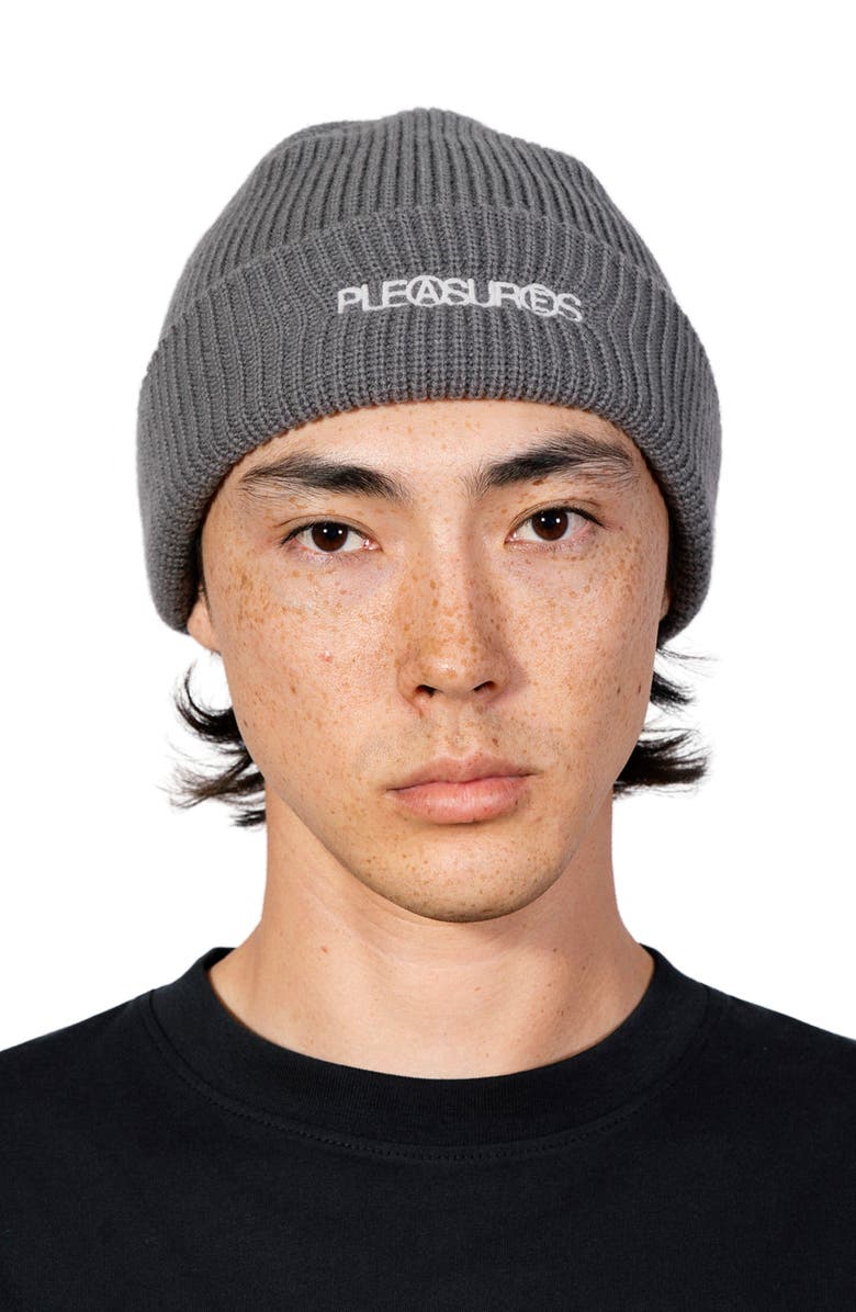 PLEASURES Zine Beanie, Alternate, color, Charcoal