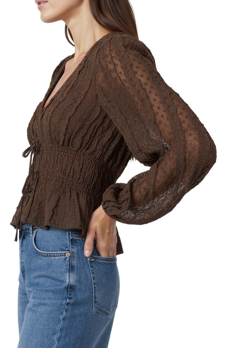 All in Favor Ruched V-Neck Tie Front Top, Alternate, color, Brown