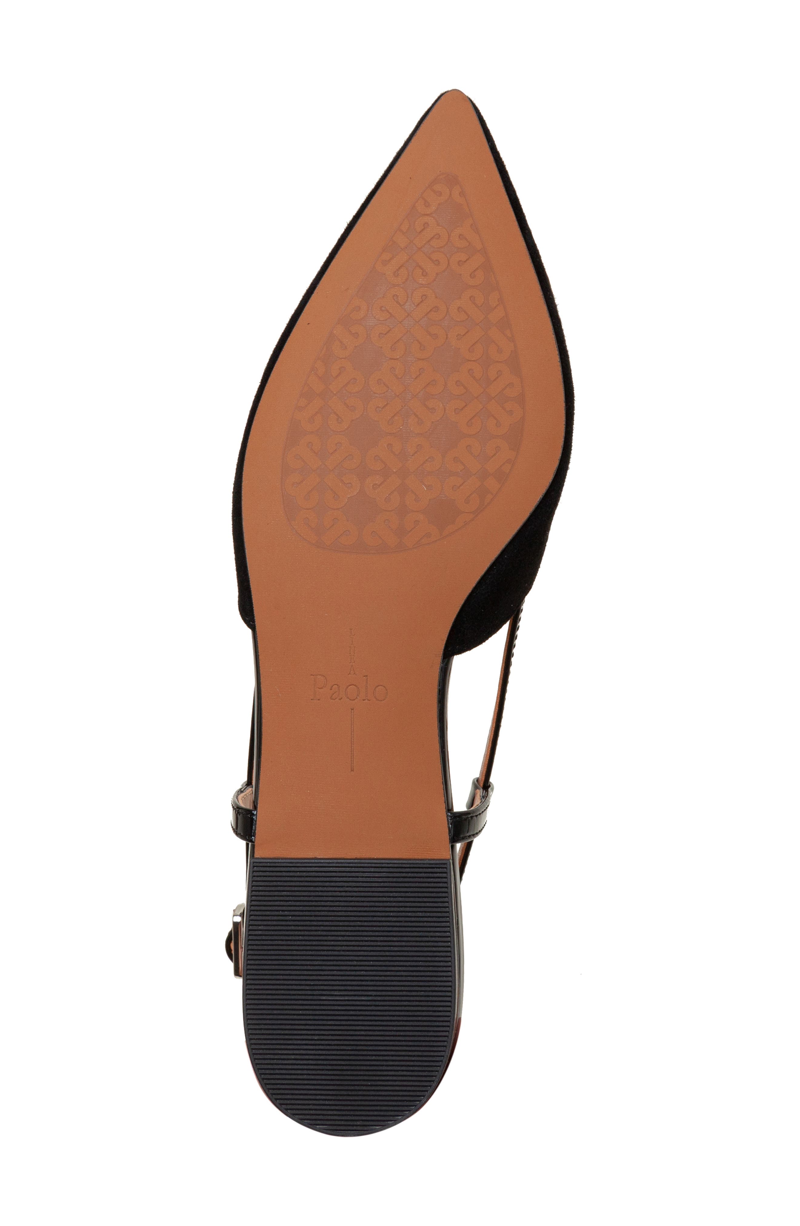 Linea Paolo Cammy Slingback Pointed Toe Flat, Alternate, color, Black Ii