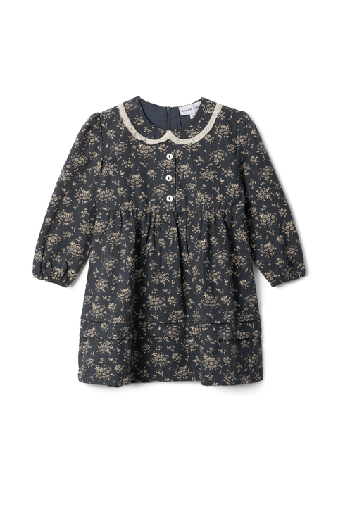 Front Button Woven Flower Print Dress (Toddler, Little Kid & Big Kid)