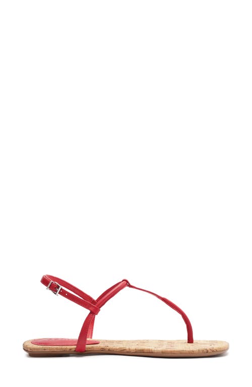 Shop Schutz Elsha Slingback Sandal In Scarlet