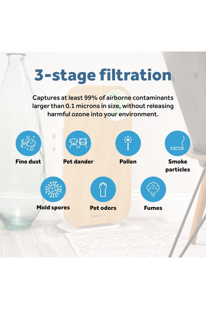 H13 True HEPA 2-in-1 Replacement Charcoal Combined Filter with Pre-filter, Alternate, color, White