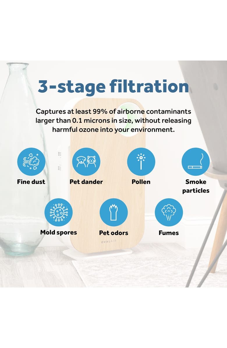 Oval Air H13 True HEPA 2-in-1 Replacement Charcoal Combined Filter with Pre-filter, Alternate, color, White
