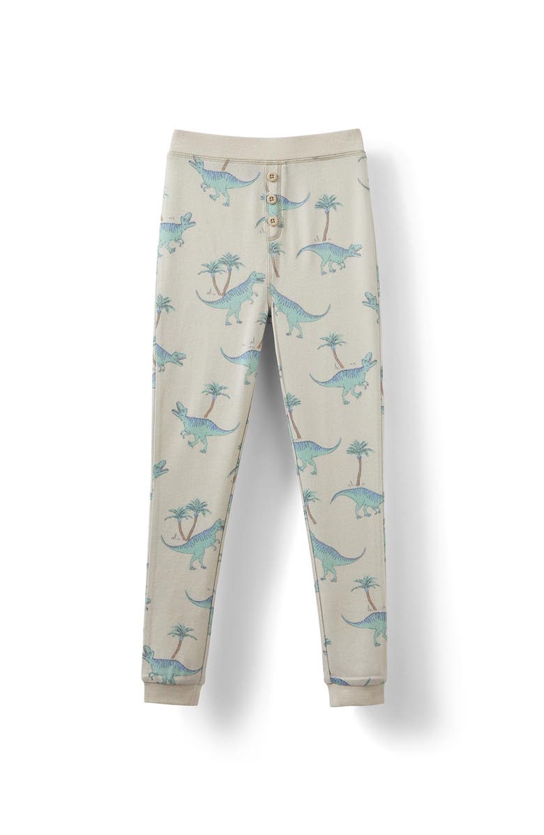 Cotton On Kids Kid's Cooper Long Sleeve Pyjama Set Licensed, Alternate, color, 