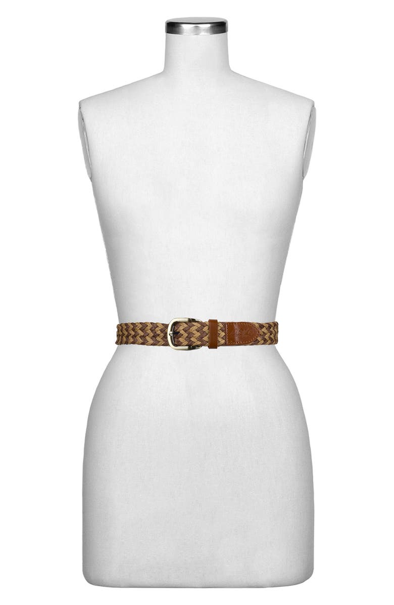 Patricia Nash Ingria Belt, Alternate, color, Brown/ Beige