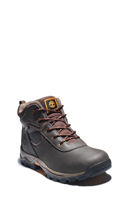 Timberland Kids' Mt. Maddsen Waterproof Hiking Boot In Dark Brown